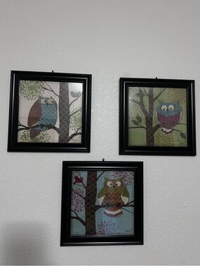 (3) 10x10” owl prints